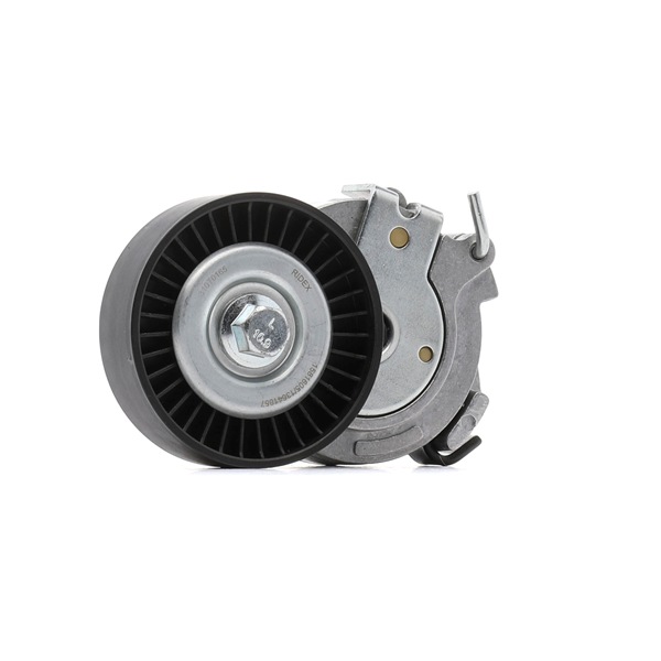 RIDEX 310T0165 Σετ καδένας χρονισμού 3.2 V6 (841.AXF110) 230 PS 841 L.000