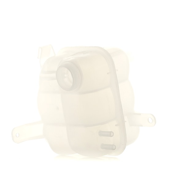RIDEX 397E0105 Ausgleichsbehälter Ford Transit Mk5 Bus 2.0 DI 100PS 2004