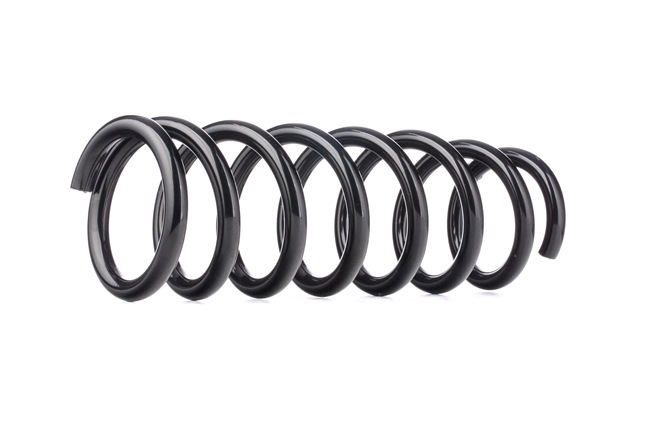 MITSUBISHI RIDEX Muelles de suspensión 188C0421
