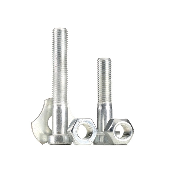 RIDEX 1597M0003 Reparatieset, wieldraagarm Mercedes E Class W124 E 500 (124.036) 326 Pk M 119.974