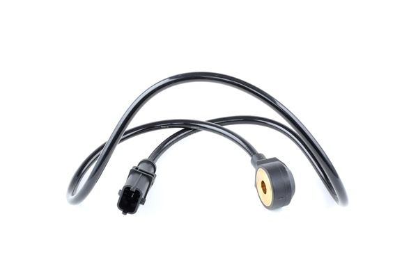 RIDEX 3921K0031 Módulo de encendido 2.4 170 cv 841 D.000