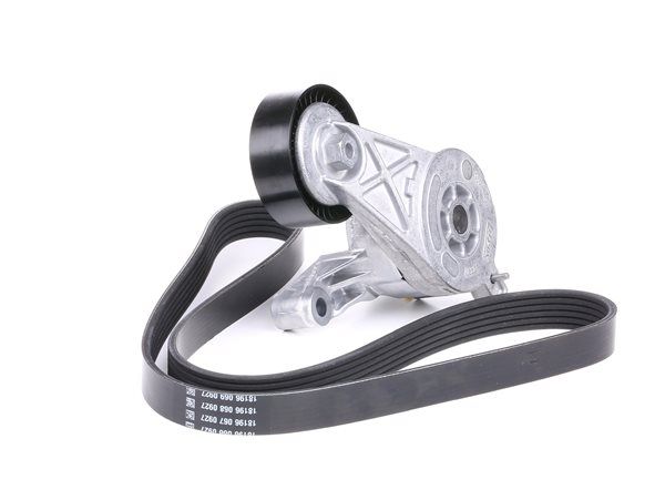 SKF VKMA 31022 Tendicatena 2.0 TDI 163 PS BUZ