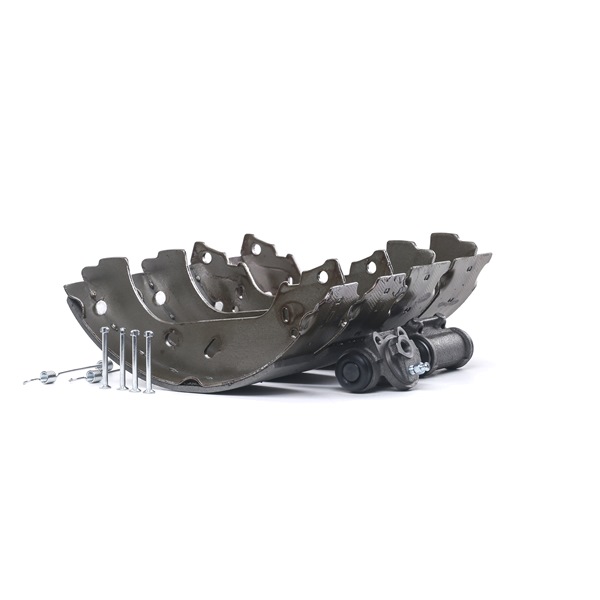 RIDEX 3859B0008 Δακτυλιος abs 1.6 80 PS 220 A2.000