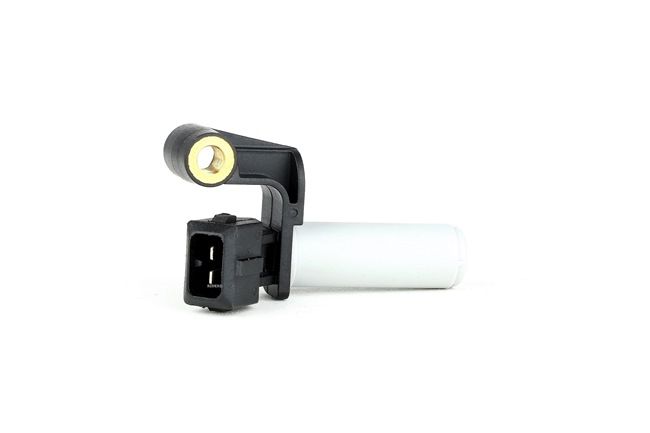 RIDEX 833C0206 Intake air temperature sensor 2.0 TDCi 125 hp FIFA