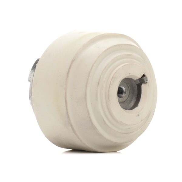 RIDEX 247E0368 Supporto motore Mercedes W203 C 55 AMG 5.4 (203.076) 367 CV M 113.988