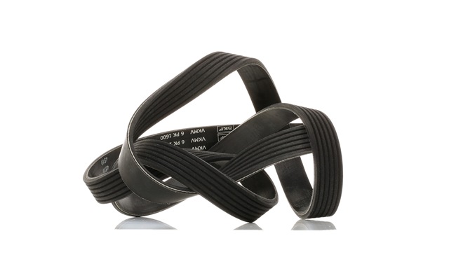 SKF VKMV 6PK1600 Ιμάντας poly-V Opel Corsa C 1.7 CDTI (F08, F68) 100 PS Z 17 DTH