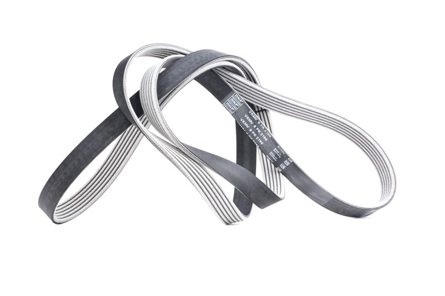 JAGUAR SKF Correia serpentina VKMV 6PK2196