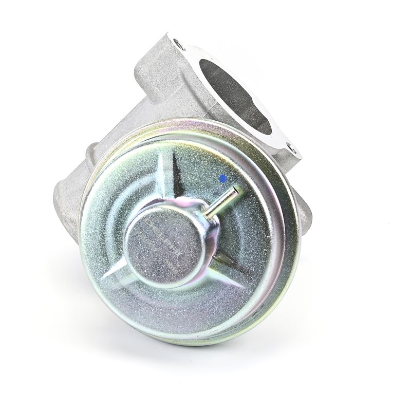 DELPHI EG10412-12B1 Filtro de partículas 2.0 D 130 cv FMBB