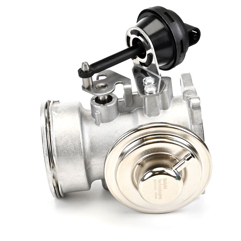DELPHI EG10420-12B1 Válvula EGR VW Bora 1j2 1.9 TDI 4motion 150 cv ARL