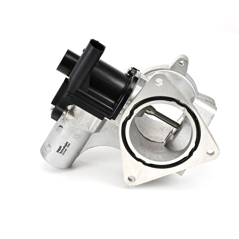 DELPHI EG10446-12B1 EGR klep VW Crafter 50 Flatbed Vrachtwagen 2.5 TDI 88 Pk CEBA