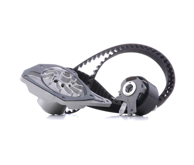RENAULT MAGNETI MARELLI Wasserpumpe + Zahnriemensatz 132011160012