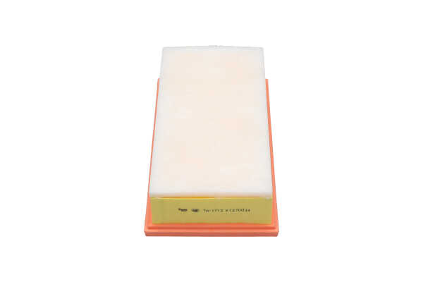 KAVO PARTS TA-1713 Luftfilter OPEL Vivaro C Combi (K0) 2.0 177 HK D 20 DTR (DW10FDCU)