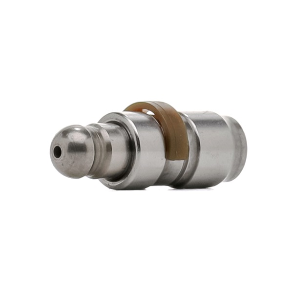 cumpar ieftine 420 0260 10 Culbutor supapa de la INA 11338614951, 11338632553, 11338679835, 11338614951, 11338632553, 11338679835