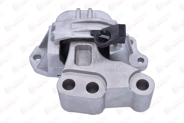 BIRTH 53058 Fasce elastiche 1.6 MultiJet 130 CV 46346020