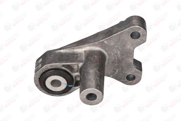 BIRTH 53067 Fasce elastiche 1.6 (334AXE1A) 110 CV 552 63 842