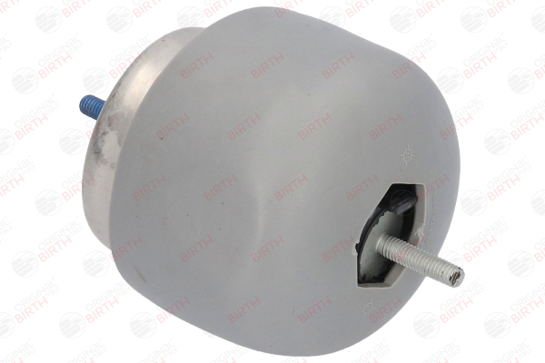 BIRTH 53077 Supporto motore Passat 3b5 1.9 TDI Syncro/4motion 110 CV AVG