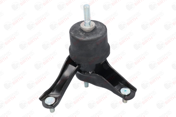 BIRTH 53206 Fasce elastiche 3.0 (MCR30W) 220 CV 1MZ-FE
