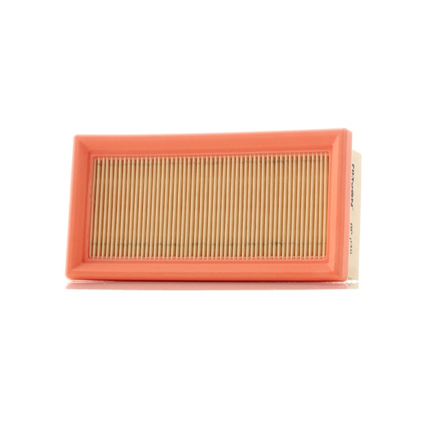 AP 040 FILTRON Luftfilter Filtereinsatz