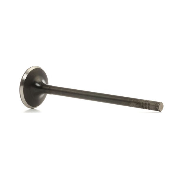 NE 5624050000 Fasce elastiche 1.1 D 72 CV D3FA