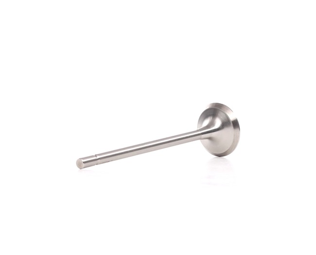 NE 5738110000 Sensor do nível de óleo 2.0 R.S. 265 cv F4R 874