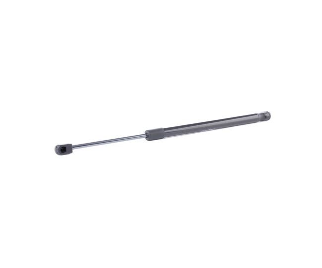 SUZUKI RIDEX Takaluukun kaasuiskunvaimennin 219G0890