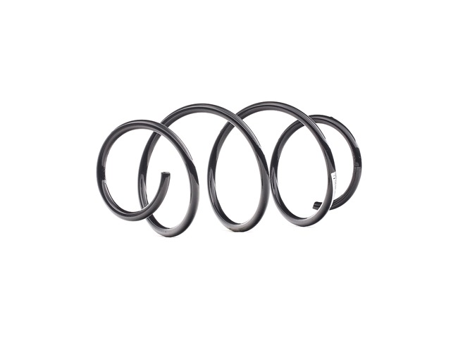 RENAULT SACHS Framfjäder och bakfjäder 993 913