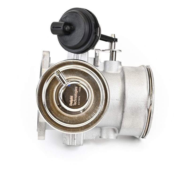 DELPHI EG10474-12B1 Válvula EGR VW Multivan T5 2.5 TDI 163 cv BLJ
