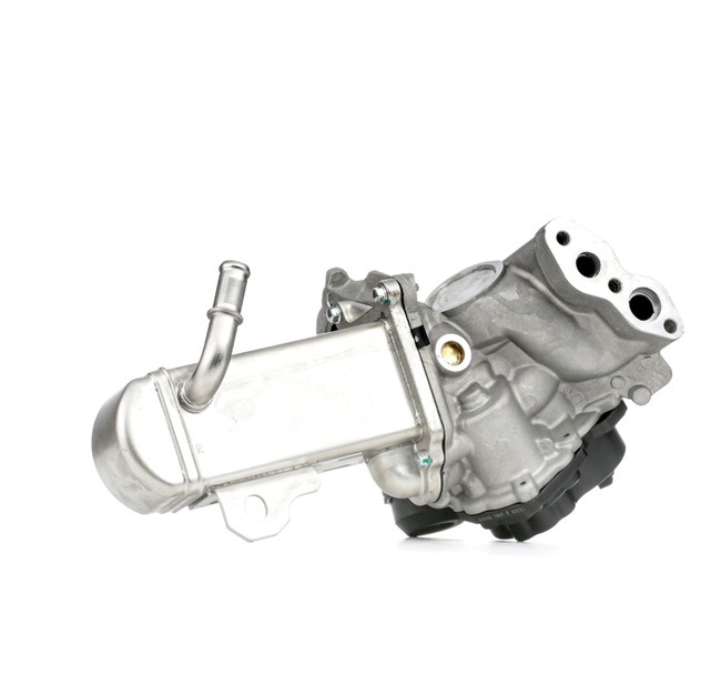 HITACHI 138461 Exhaust tips 2.0 HDi 128 hp AHZ (DW10CD)