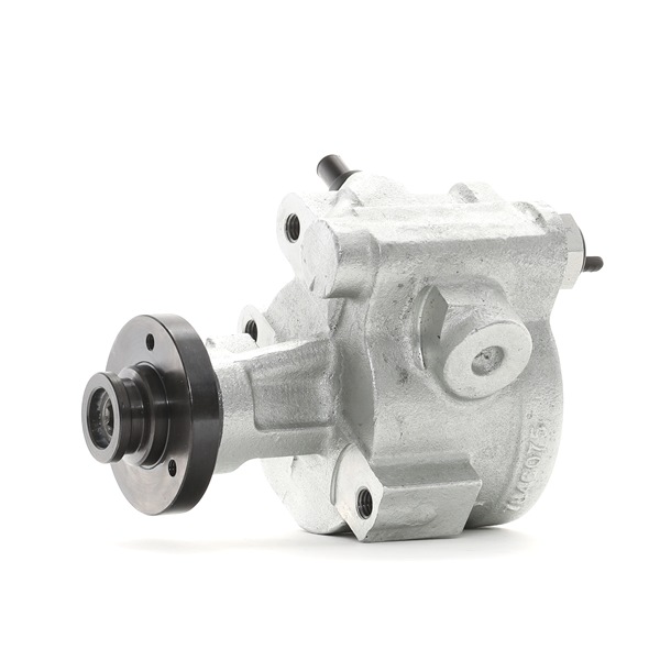 RIDEX 12H0182 Bomba de dirección Renault Megane Scenic 2.0 i 114 cv F3R 751