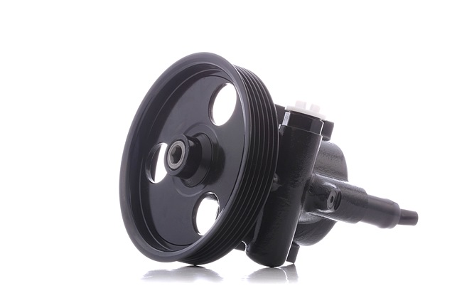 STARK SKHP-0540191 Stuurbekrachtigingspomp Renault Megane Scenic 2.0 i 114 Pk F3R 751