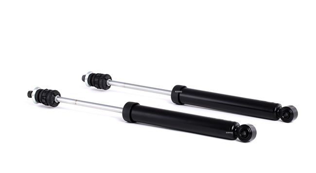 NISSAN RIDEX Støtdempere 854S2215