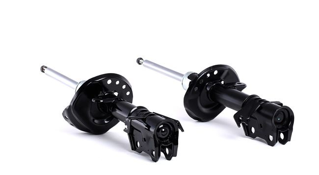 RIDEX 854S2255 Bladfjäder 2.0 iVtec (RE5, RM1) 155 hk R20A9