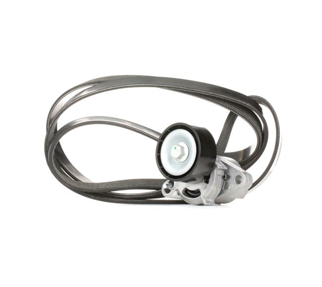 RIDEX 542R0056 Kit de courroie d'accessoire Dacia Logan LS 1.6 16V (LS09, LS0L, LS0M, LS0P, LS0V, LS18, LS1S, LS1V,... 105CV 2015