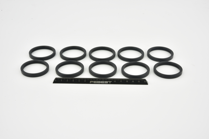 FEBEST RINGWH-017-PCS10 Fékrásegítő vákumcső 1.6 EcoBoost 182 LE JTDB