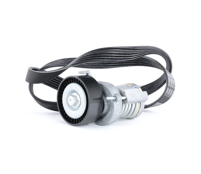 RIDEX 542R0093 Ribremsæt Golf 5 Variant 1.4 80 HK BUD