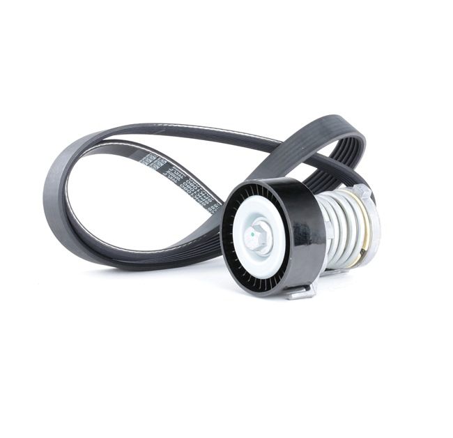 RIDEX 542R0134 Keilrippenriemensatz Audi A2 8Z0 1.4 75PS 2001