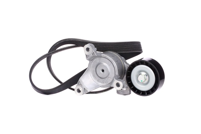 RIDEX 542R0148 Keilrippenriemensatz Citroen C4 Picasso mk1 1.8 Bifuel 125 PS 6FY (EW7A)