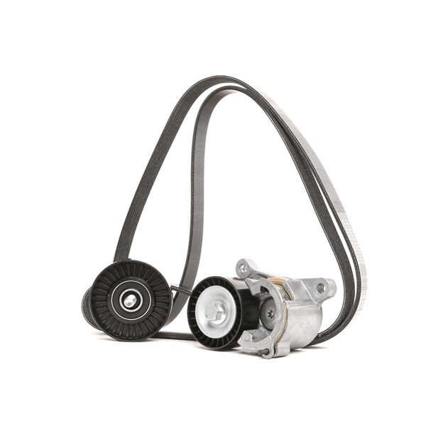 RIDEX 542R0154 Zestaw paska wielorowkowego Citroën C5 1 Kombi 2.0 16V HPi 140 KM RLZ (EW10D)