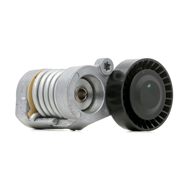 RIDEX 310T0296 Jakoketjun kiristin 2.4 CDI 163 hv D 5244 T9
