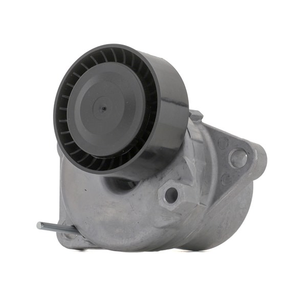 DS RIDEX Spanrol v-snaar 310T0297
