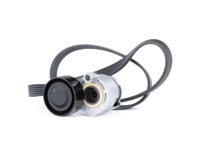 LADA RIDEX Kit de correias trapezoidais estriadas 542R0170