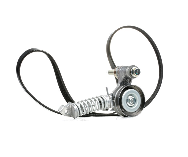 RIDEX 542R0173 Correa de alternador Corsa C X01 1.4 Twinport (F08, F68) 90 cv Z 14 XEP