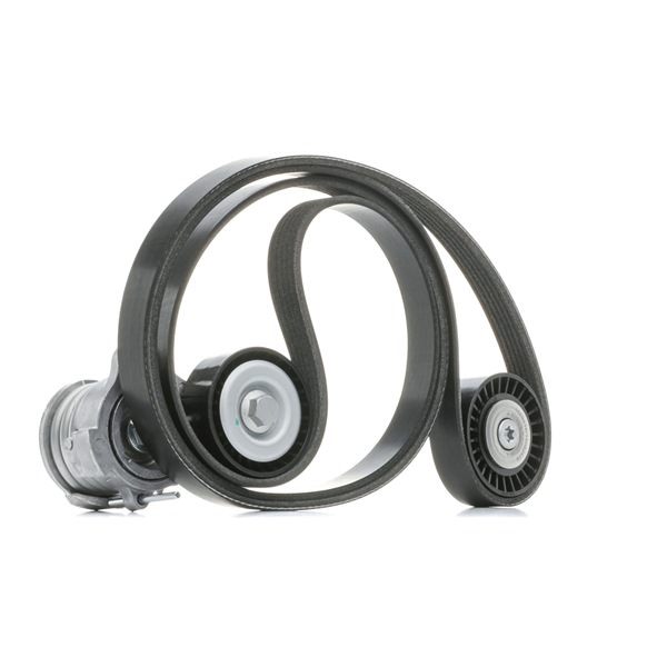 RIDEX 542R0186 Tensor de cadena de distribución 2.0 CDTi 126 cv Z 20 DM