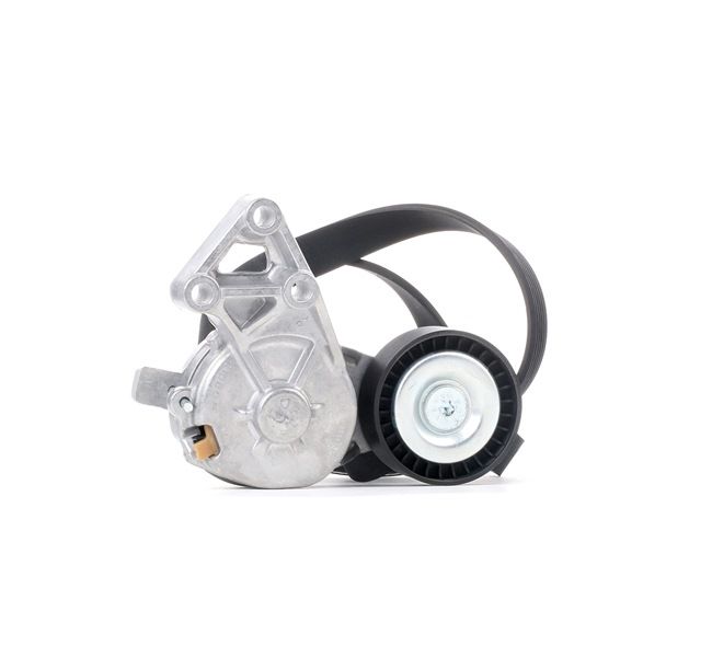 SKODA RIDEX Kit De Correias Trapezoidais Estriadas 542R0193