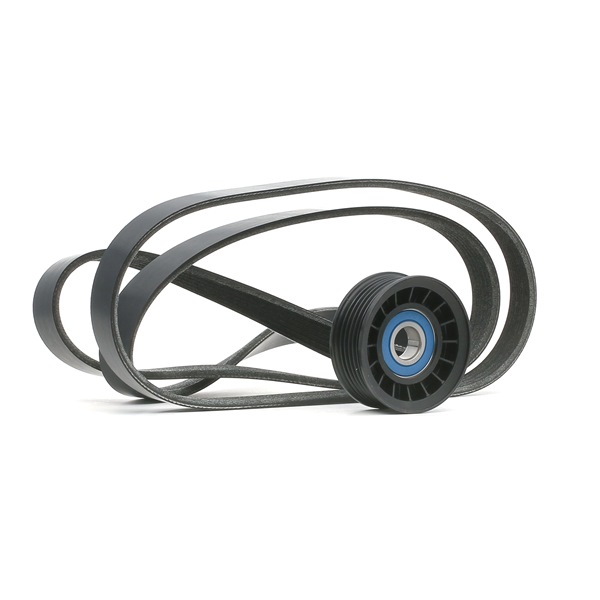 542R0217 RIDEX Keilrippenriemensatz
