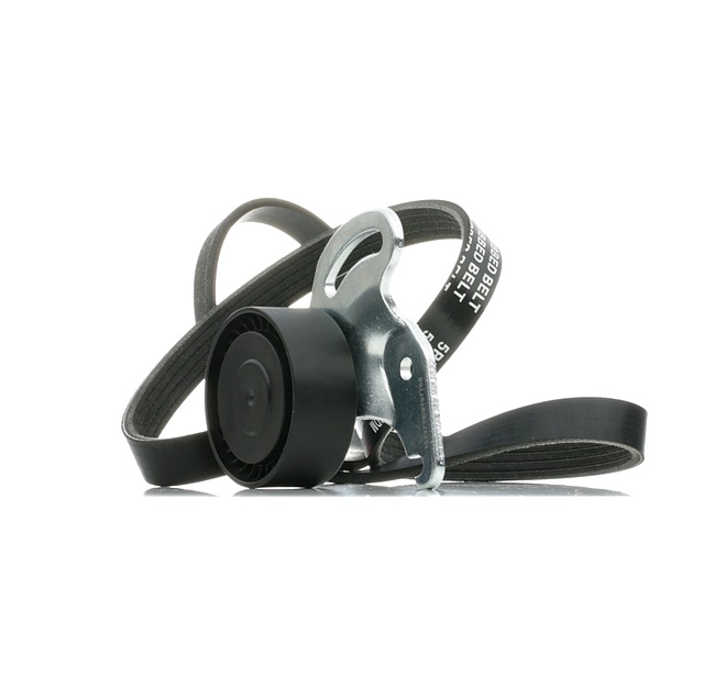 RENAULT RIDEX Drivremssats 542R0231