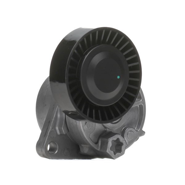 310T0307 Poulie, tendeur de courroie d'accessoire RIDEX Kia prix