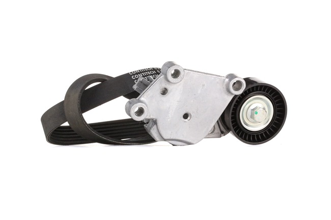 RIDEX 542R0261 Multiriem Ford Transit Connect Station Wagon 1.5 TDCi 120 Pk XWGC