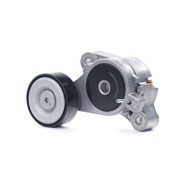RIDEX 310T0309 Hosszbordás szíj feszítőgörgő Passat B6 Variant 1.4 TSI EcoFuel 150 PS CDGA