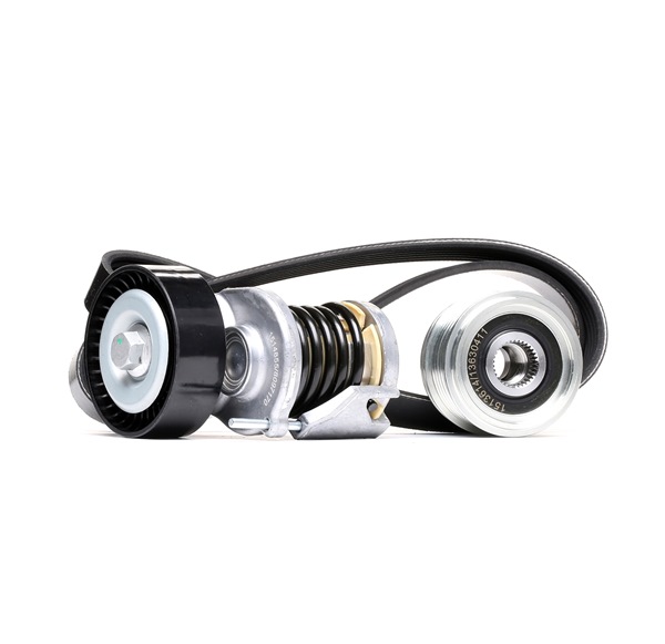 RIDEX 542R0280 Keilrippenriemensatz Passat B7 Variant 2.0 TDI 140 PS CFFB